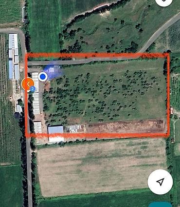 Ферма КРС, 240 соток, Действующий, Электричество