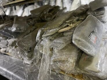 очень нужны: Солнцезащитные козырьки Тойота, Хонда, Субару, Мазда, Ниссан, в — 2