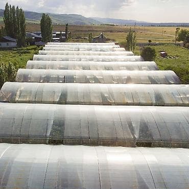 рыбные хозяйства: 60 соток, Для бизнеса, Красная книга, Договор купли-продажи — 2