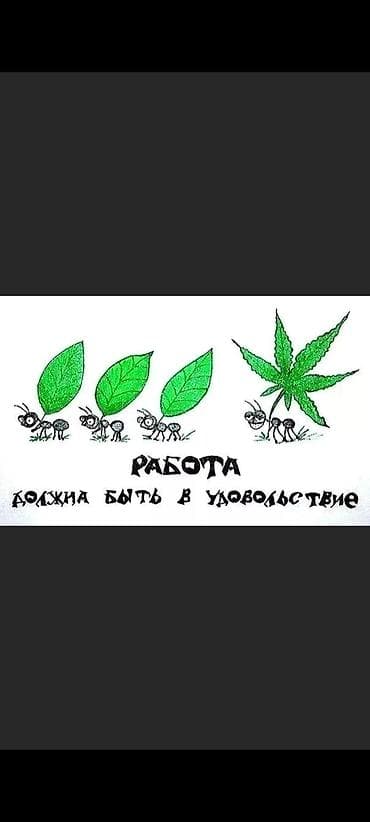 мкр западный: Сдаётся комната с подселением в частном доме (дом разделён на — 2