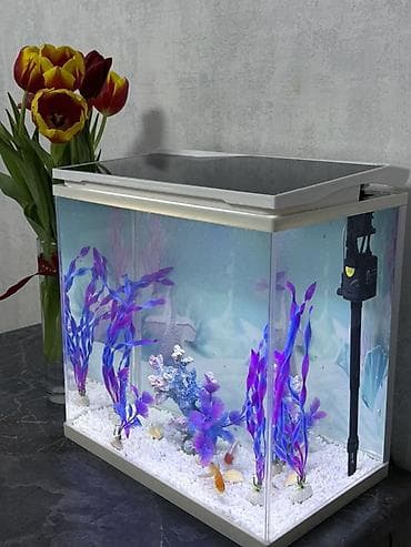 купить креветок в аквариум: Аквариум с крышкой и подсветкой - Прямоугольный стеклянный аквариум с — 4