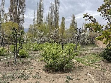 жаны уйлор: Продается Фазенда село Кара-Ой(Долинка) 52соток красная книга, ест — 10