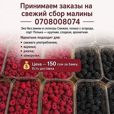 Малина В розницу — 1
