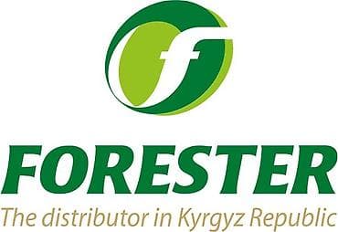 В филиале г. Каракол компании Forester появилась ваканция на