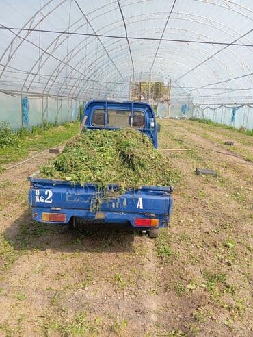 Легкий грузовик, Daewoo, Стандарт, До 1 т, Б/у at lalafo.kg Легкий грузовик, Daewoo, Стандарт, До 1 т, Б/у