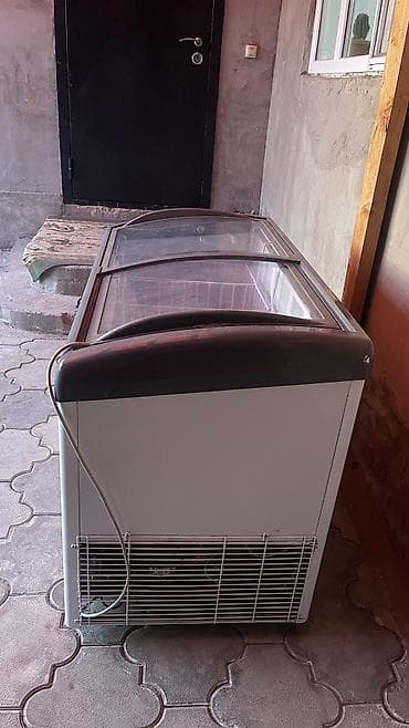 Техника жана электроника: Тоңдургуч, Колдонулган — 5