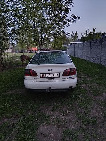 elgrand e51: Nissan Primera: 2000 г., Ручные, Хэтчбэк — 4