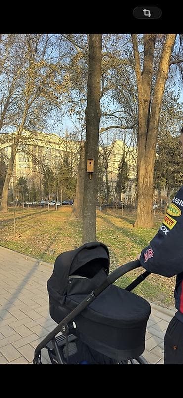 Балдар дүйнөсү: Коляска 3-в-1 Cybex Balios s lux (рамa + прогулочный блок + люлька + — 5