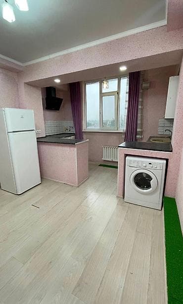 sky: 1 комната, 50 м², Индивидуалка, 5 этаж, Косметический ремонт — 4