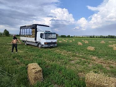 rex sprinter: Грузовик, Mercedes-Benz, Стандарт, 5 т — 6