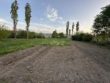 пш метр: 10 соток, Айыл чарба үчүн — 4