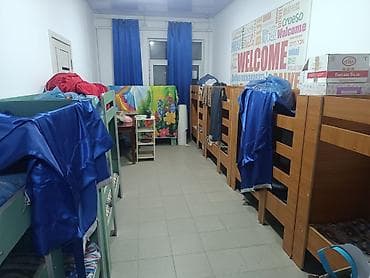 tim: Двухъярусная детская кровать, Б/у, ЛДСП, цвет - Коричневый — 5