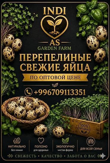 🥚 Фермерские пищевые яйца от