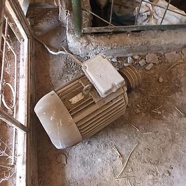 мел для животных: Масла апарат май жубаз электродвигатель +катёл — 2