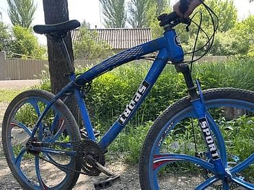 Велосипеды: Горный велосипед, Сталь, Б/у — 1