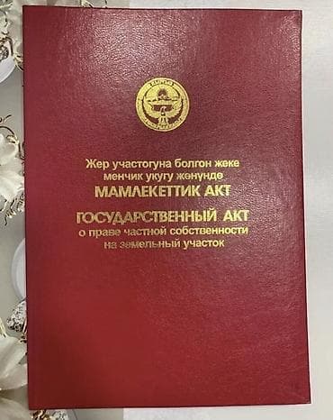чон: 5 соток — 1