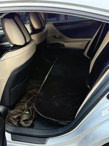 полик нексия 2: Lexus ES: 2019 г., 2.5 л, Автомат, Гибрид, Седан — 10