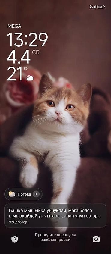 звездний небо: Живые обои/заставка для смартфона с котёнком - Тематика: милый — 1