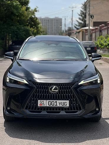 Lexus NX: 2022 г., 2.4 л, Автомат, Бензин, Кроссовер
