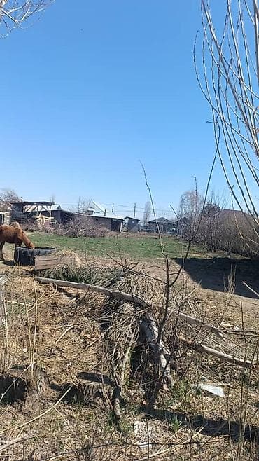 шок гостиница балыкчы: Продается участок с. Времянкой в Арчалы Улицы широкие, стандартные! — 3