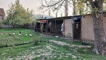 студия записи: 🚨 Срочно продаётся большой кирпичный дом с участком 18 соток! 📍 — 3