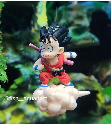 Украшение для аквариума. Красиво выглядит в воде
Аквариумный декор lalafo.kg да Украшение для аквариума. Красиво выглядит в воде
Аквариумный декор