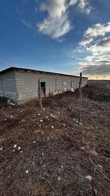 село романовка: 237 соток, Для сельского хозяйства, Красная книга — 6