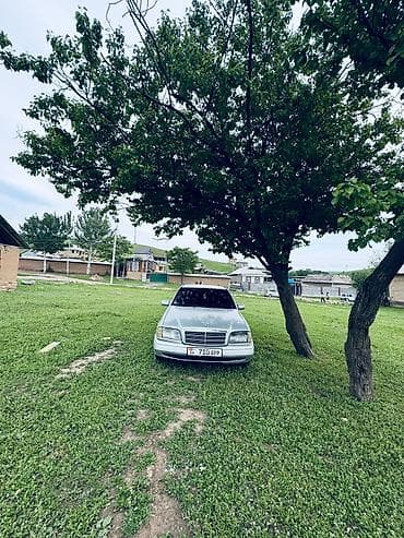 Mercedes-Benz C-Class: 1999 г., 2 л, Бензин, Седан — 5
