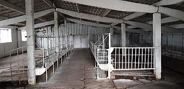 Кыймылсыз мүлк: Мүйүздүү бодо мал фермасы, 75 соток, Канализация, Скважина — 10
