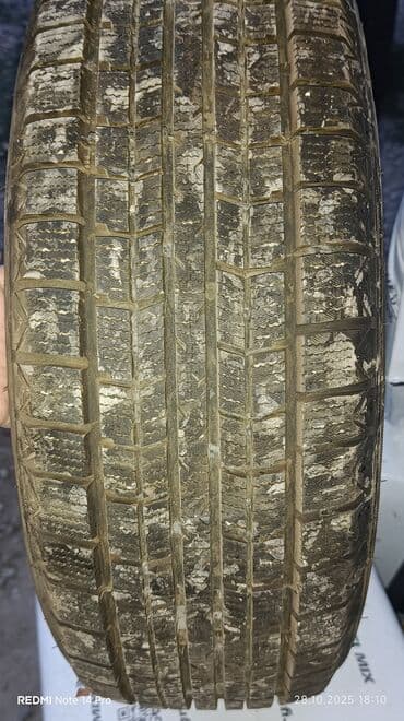 шына р14: Шиналар — 6