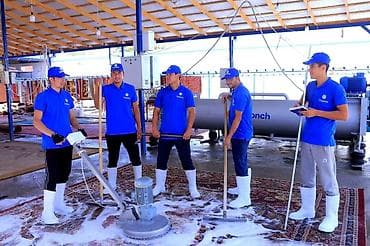 what's app: Стирка ковров, | Палас, Ала-кийиз, Шырдак, Бесплатная доставка — 3