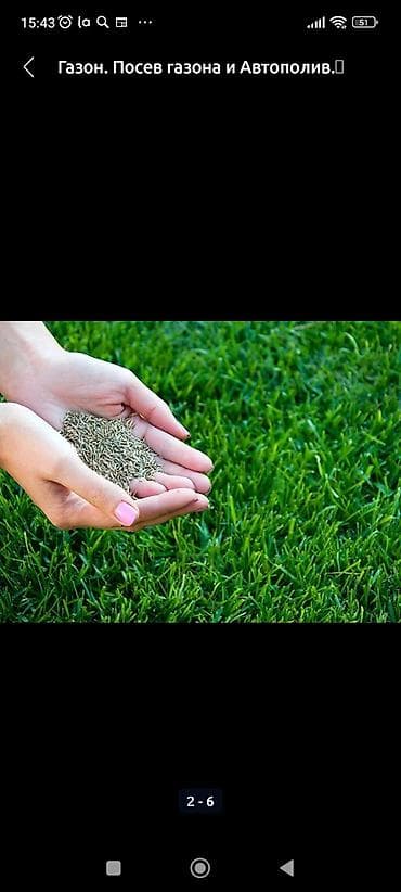 Газон: Газон! Посев газона и Автополив! Сеем газон! Мы полностью — 5