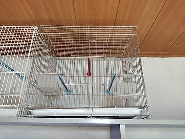 Үй жаныбарлары: Клетки для птиц и грызунов! — 4