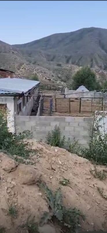 работа в бишкеке швейный цех: Жумуш! Кыргыз жылкыларын багууга уй-булолуу малчы керек. Шарты жакшы — 3