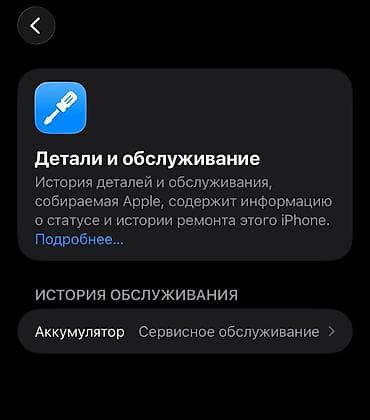 1060 ti: IPhone 12 Pro Max, 128 ГБ, Pacific Blue, 79 % — 5
