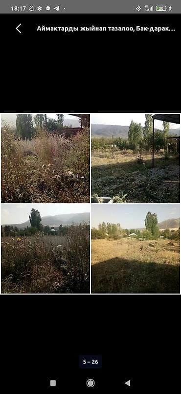 мору тазалоо: Аймактарды жыйнап тазалоо, Уборка двора и сада — 4