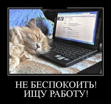 повар работы: Официант. Без опыта — 1