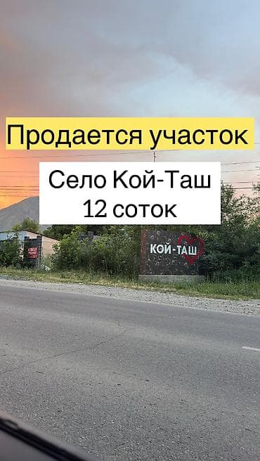 Кыймылсыз мүлк: 12 соток, Бизнес үчүн, Кызыл китеп — 1