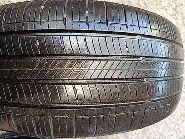 Шиналар 215 / 55 / R 17, Жай, Nexen