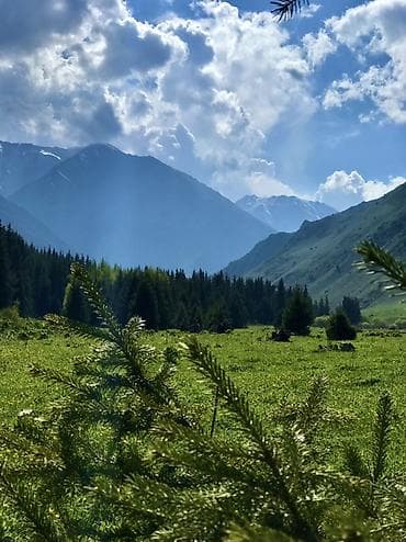 Jetour: 🌄 Откройте для себя дикие красоты с нашими джип-турами по горам! 🌄 — 8