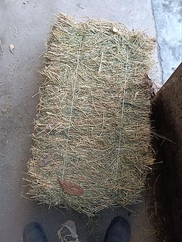 Тюки. Люцерна. Двойной размер