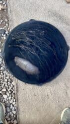 пластиковые стаканы с крышкой: Советский казан сатылат 50 литр, очогу мн
Сапаты өтө жакшы — 4