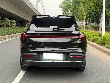 палисаб гибрид: Voyah : 2024 г., Электромобиль, Кроссовер — 5