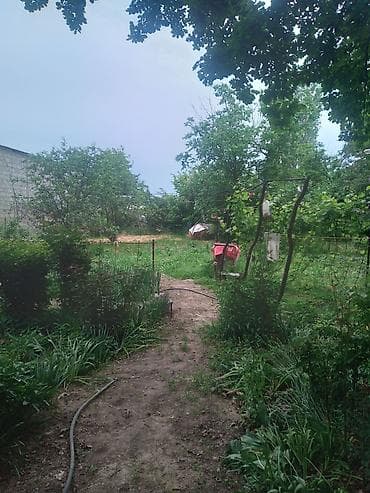 село садовое: Дом с большим двором и хозяйственными постройками - Жилой одноэтажный — 7