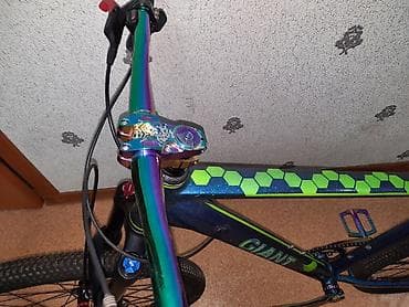 Көркөм өнөр жана коллекциялоо: Тоо велосипеди, Giant, Велосипед алкагы L (172 - 185 см), Алюминий, Колдонулган — 4