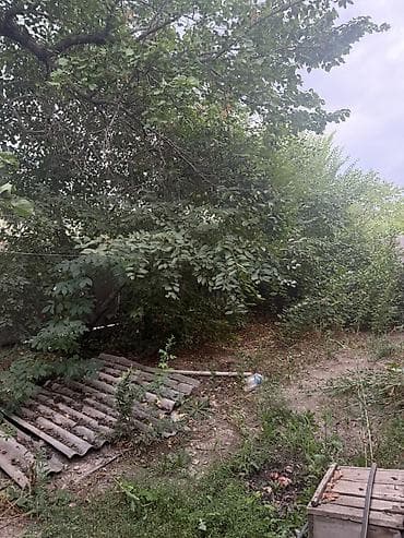 забыл: Продаю пол.домарайон Маевка, по ул.Молодежной4 комнатыкухня — 3