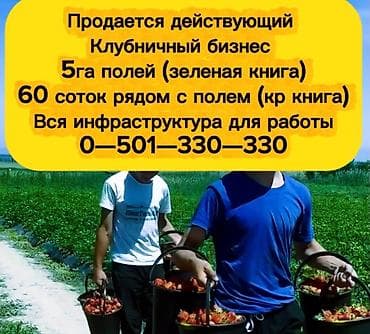 Земельные участки: 500 соток, Для бизнеса — 2