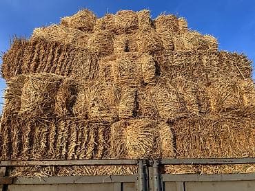 Саман сатылат арпа саман прецтери плотный стройкага дагы жарайт at lalafo.kg Саман сатылат арпа саман прецтери плотный стройкага дагы жарайт