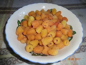 fire maple: Малина В розницу — 5