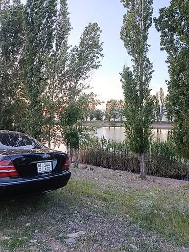 210 cdi: Mercedes-Benz S-Class: 2002 г., 3.2 л, Автомат, Бензин, Седан — 2